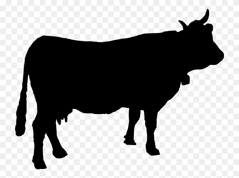 1280x929 Голштино-Фризский Силуэт Крупного Рогатого Скота - Голова Коровы Png