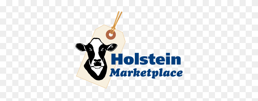 390x269 Holstein Marketplace - Milking A Cow Clipart