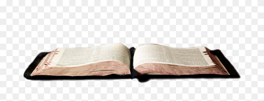 700x264 Holy Bible Png Images Free Download - Bible PNG