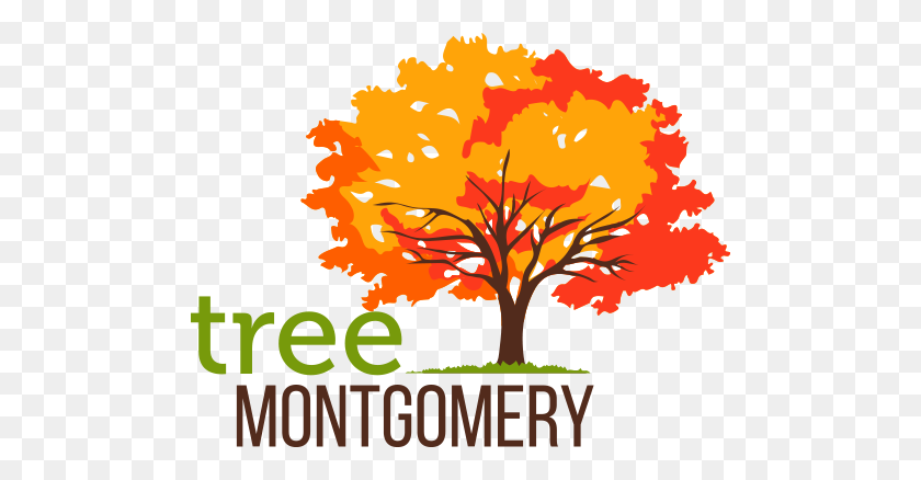 492x378 Home - Tree Illustration PNG