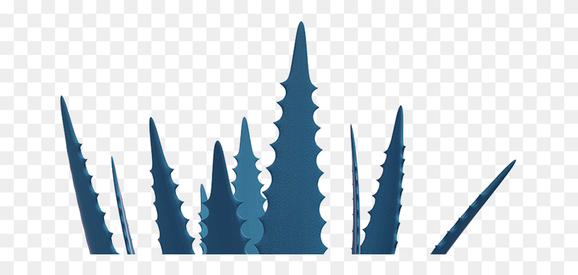 678x340 Home - Agave PNG