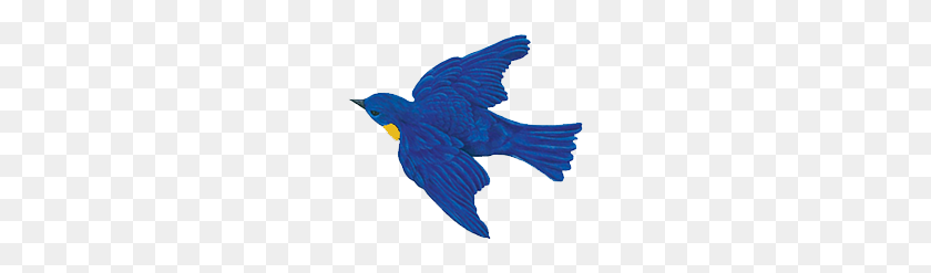 212x187 Inicio - Blue Bird Png