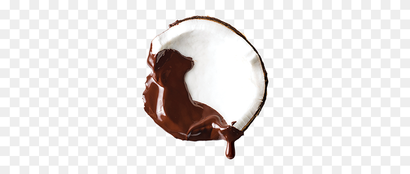 261x297 Home - Hot Cocoa PNG