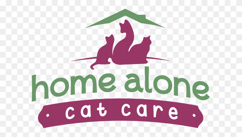 619x416 Cuidado Del Gato Solo En Casa - Solo En Casa Png