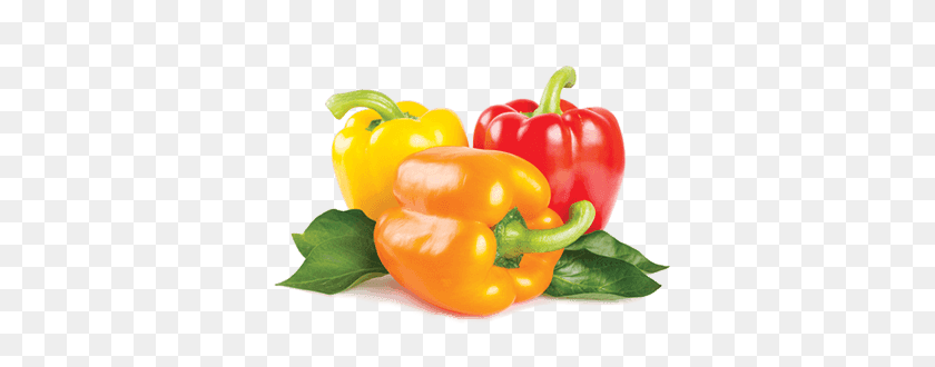 380x270 Home Farms - Bell Pepper PNG