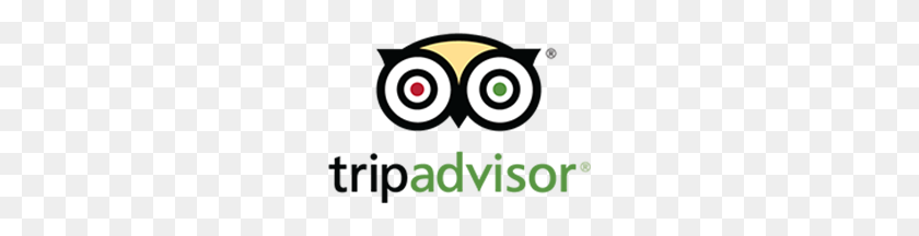 240x156 Главная Отель Магнолия - Логотип Tripadvisor Png