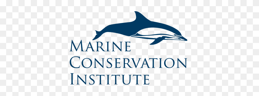 486x253 Home Marine Conservation Institute - Marine PNG