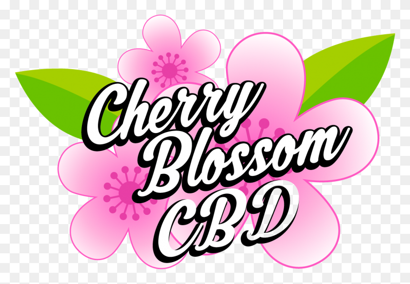 1142x766 Home Page - Cherry Blossom PNG