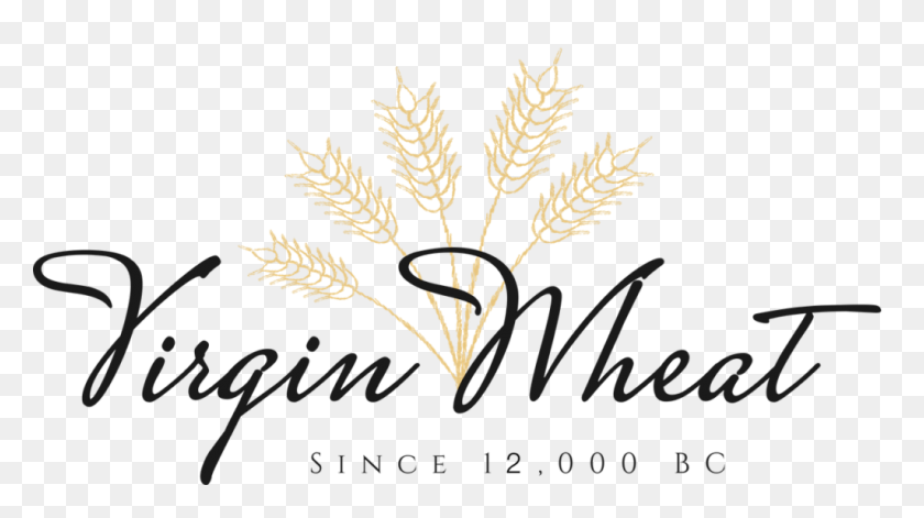 1024x540 Home Virgin Wheat - Wheat PNG