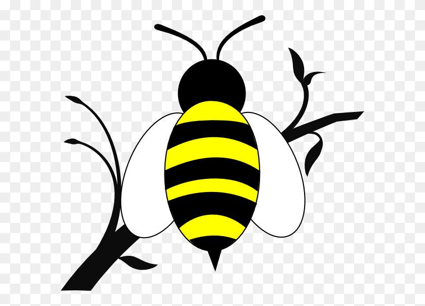 600x544 Медоносная Пчела Над Веткой Картинки - Банку Меда Клипарт