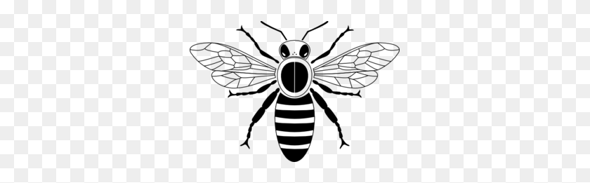 299x201 Медоносная Пчела Пиктограмма Картинки - Медоносная Пчела Клипарт