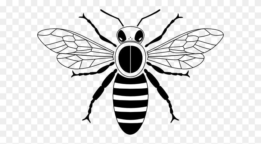 600x403 Honey Bee Pictogram Clip Art - Honey Bee Clipart Black And White