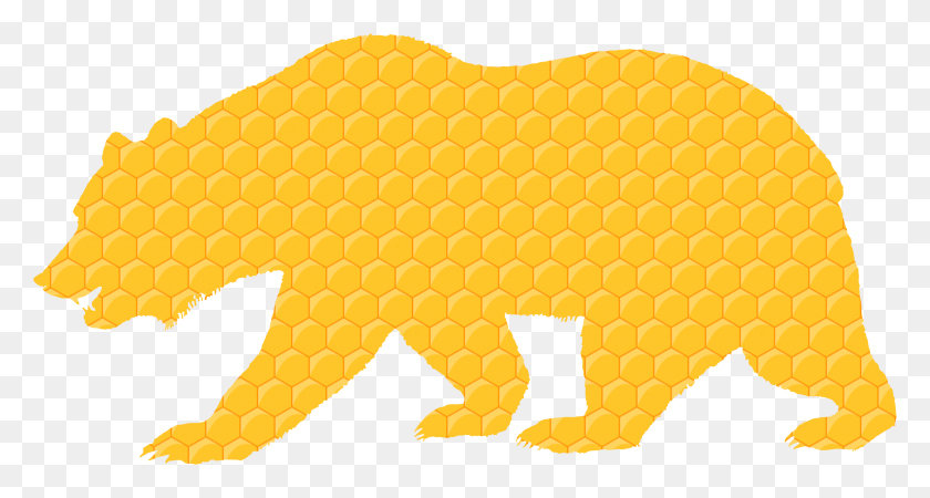 2310x1156 Honeycomb Bear Icons Png - Bear PNG