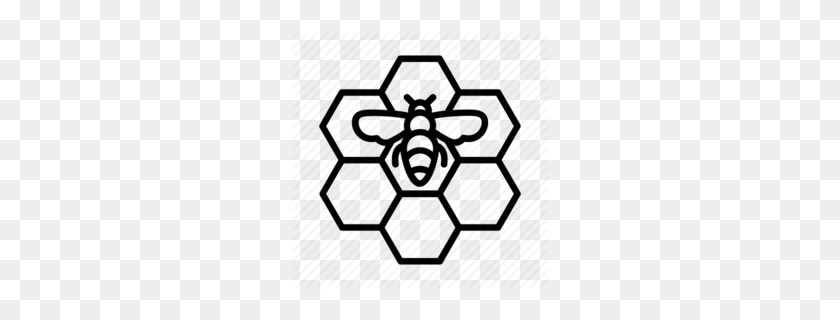 260x260 Honeycomb Clipart - Beekeeper Clipart