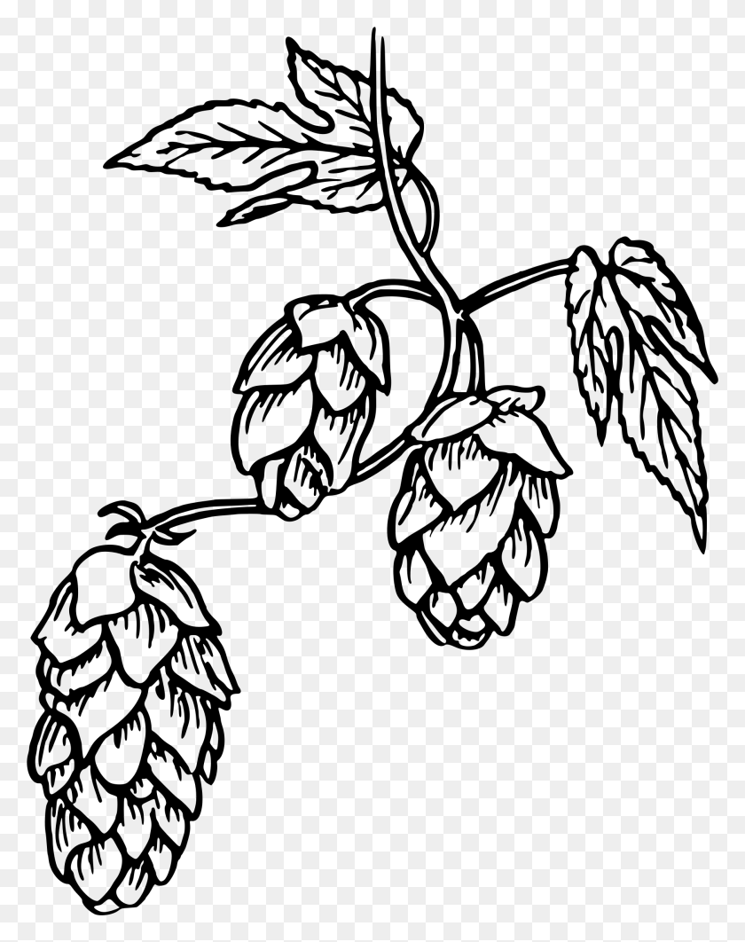 1868x2400 Hops Icons Png - Hops PNG