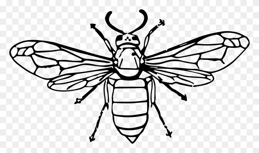 1336x750 Hornet Bee Insect Wasp Drawing - Mosquito Clipart Black And White
