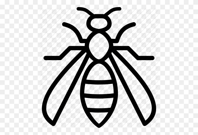 512x512 Hornet, Wasp, Yellow Jacket Icon - Hornet Clipart Black And White