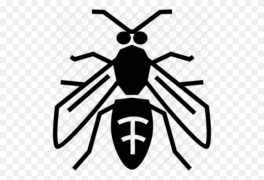 504x512 Hornet, Wasps Icon - Hornet PNG