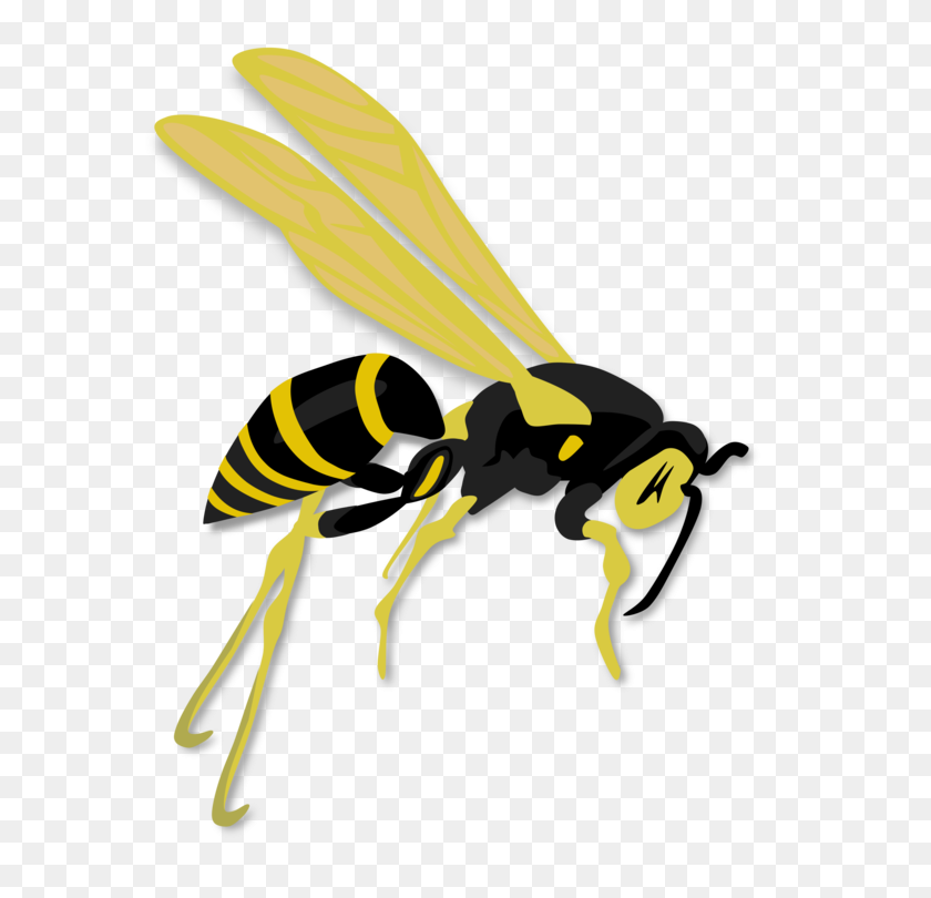587x750 Hornet Western Honey Bee Wasp Insect - Hornet Clipart