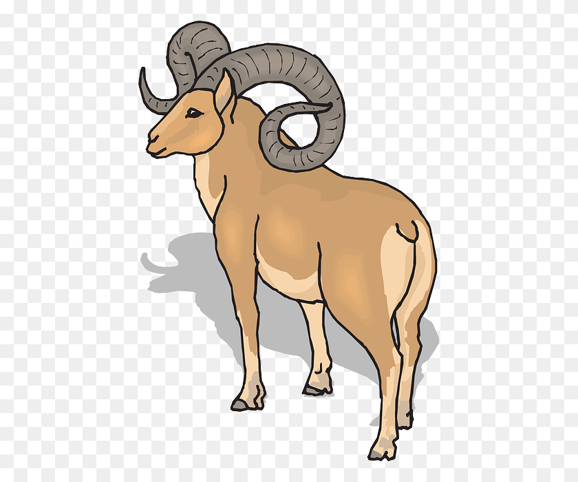 437x640 Horns Clipart Big Goat - Mountain Goat Clipart