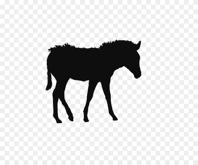 640x640 Horse Animals Clipart Background, Horse, Paper Cutting, Black Png - Mustang Horse PNG