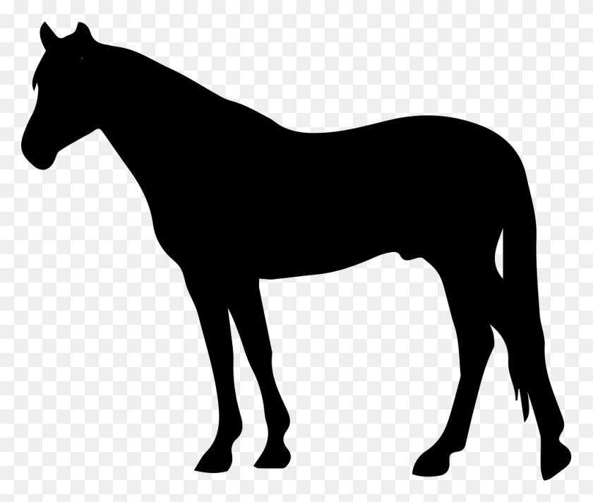 981x820 Лошадь Черный Силуэт Лицом К Левому Значку Png Скачать Бесплатно - Значок Лошадь Png