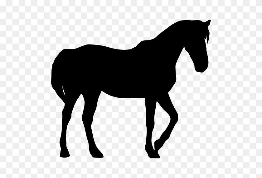 512x512 Значок Лошадь Черный Силуэт Png - Силуэт Лошади Png