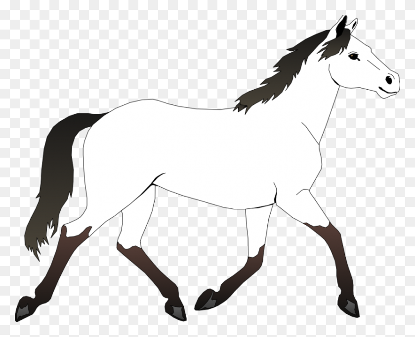 830x665 Лошадь Картинки Черно-Белые Картинки - Белая Лошадь Клипарт