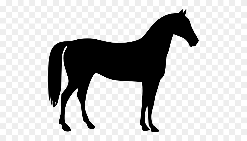 512x420 Лошадь Клипарт - Картинки Границы Лошади