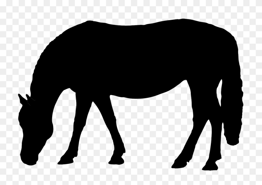 1063x727 Лошадь Пасется Картинки Торты - Мустанг Лошадь Клипарт