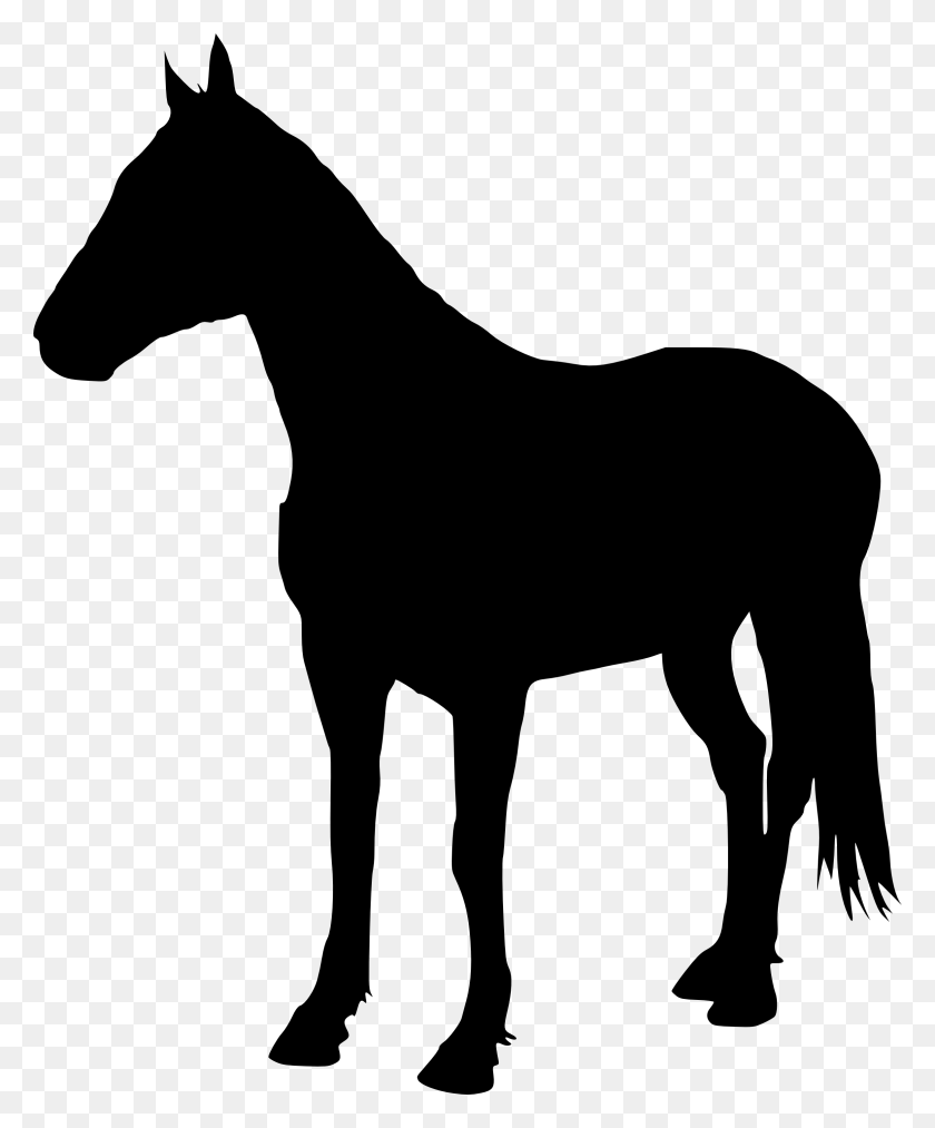 2366x2893 Лошадь Png Фоновое Изображение Png Искусства - Белая Лошадь Png
