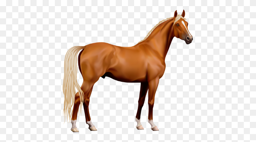 431x406 Horse Png Clipart - Horse PNG