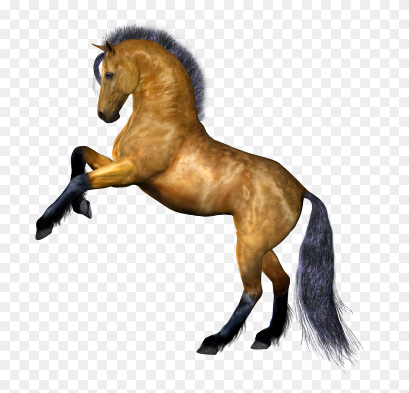 900x863 Horse Png Image, Free Download Picture - PNG Stock