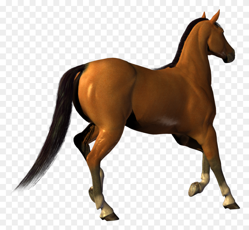 997x915 Png Лошадь