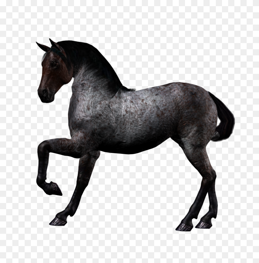 1024x1045 Horse Png Image, Free Download Picture - Mustang Horse PNG