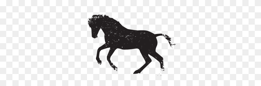 300x219 Верховая Езда Клипарт Западная Голова Лошади - Лошадь И Всадник Клипарт