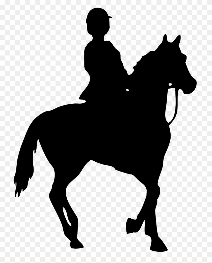 843x1063 Horse Silhouette - Horse Silhouette PNG