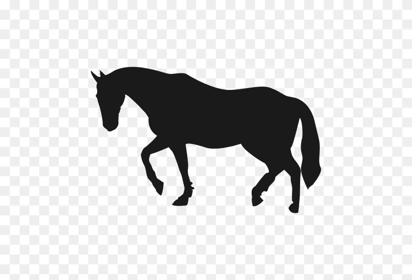 512x512 Horse Silhouette - Horse Silhouette PNG