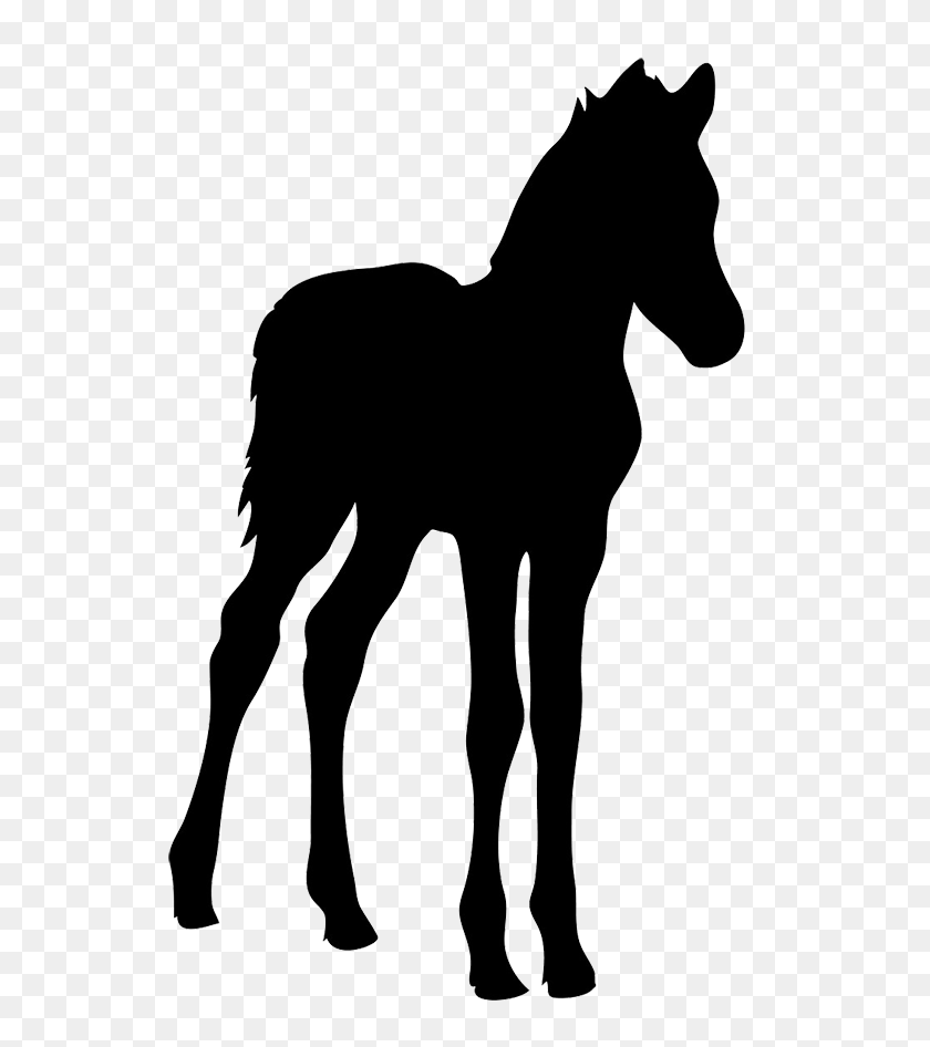 567x886 Horse Silhouette Home Decor - Horse Silhouette PNG