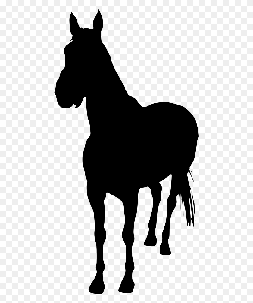 480x946 Horse Silhouette Png - Horse Silhouette PNG