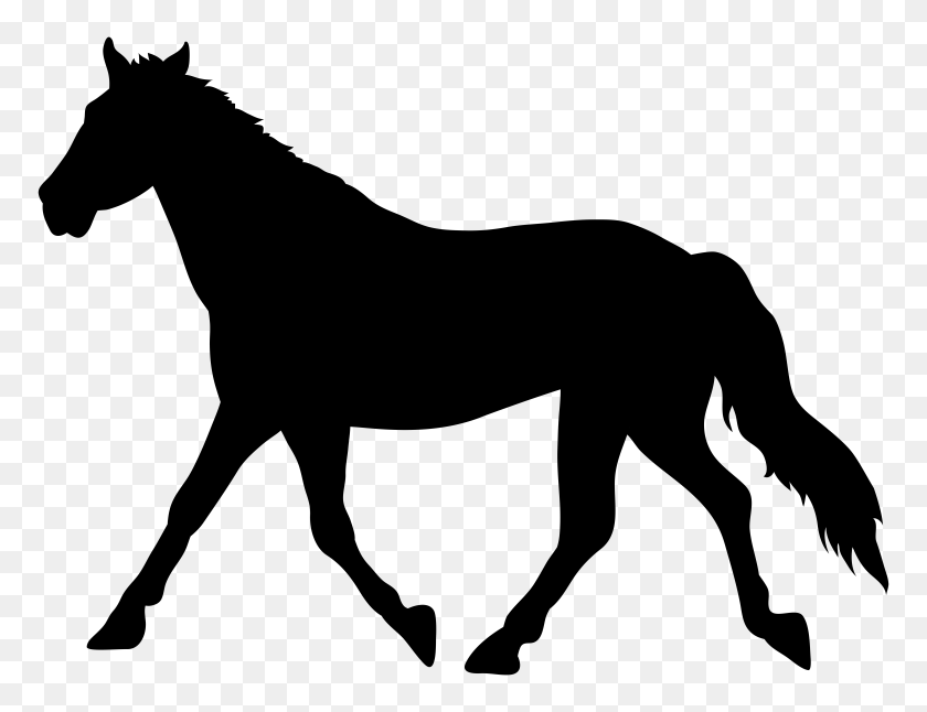 8000x6013 Horse Silhouette Png Transparent Clip Art Gallery - White Horse Clipart