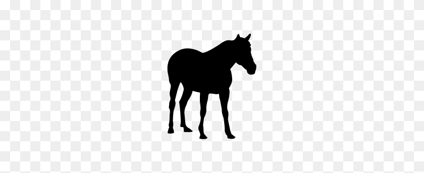 283x283 Horse Silhouette Silhouette Of Horse - Horse Silhouette PNG