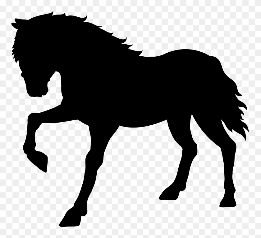 8000x7274 Horse Silhouette Transparent Png Clip Art Gallery - White Horse Clipart