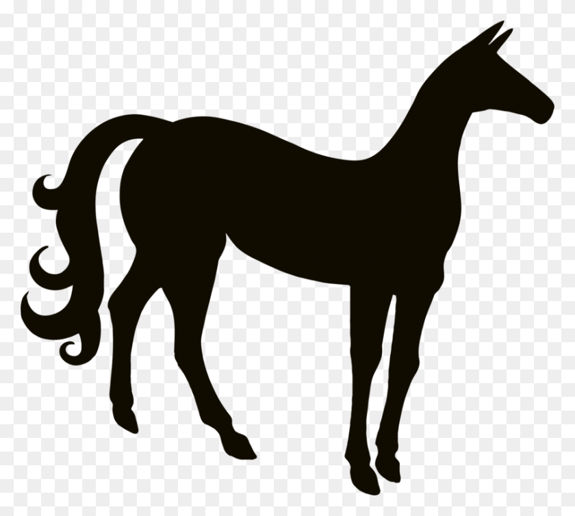 842x750 Конный Жеребец, Разводящий Конный Силуэт - Разведение Лошади Клипарт