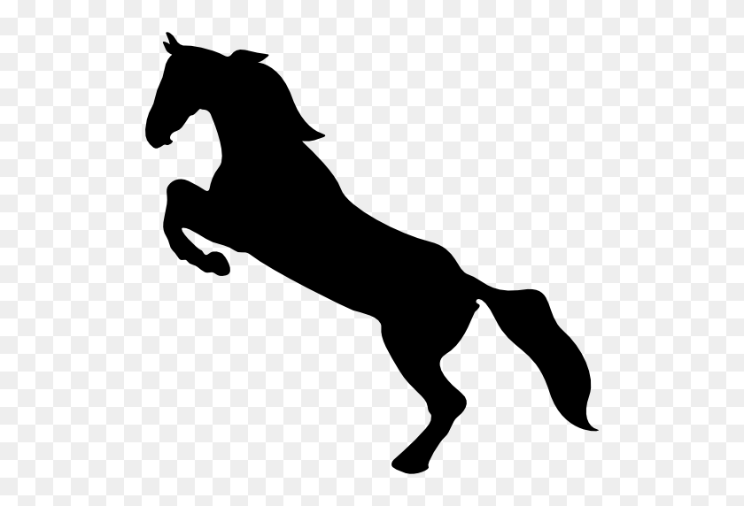 512x512 Лошадь Стоит На Задних Лапах - Значок Лошадь Png
