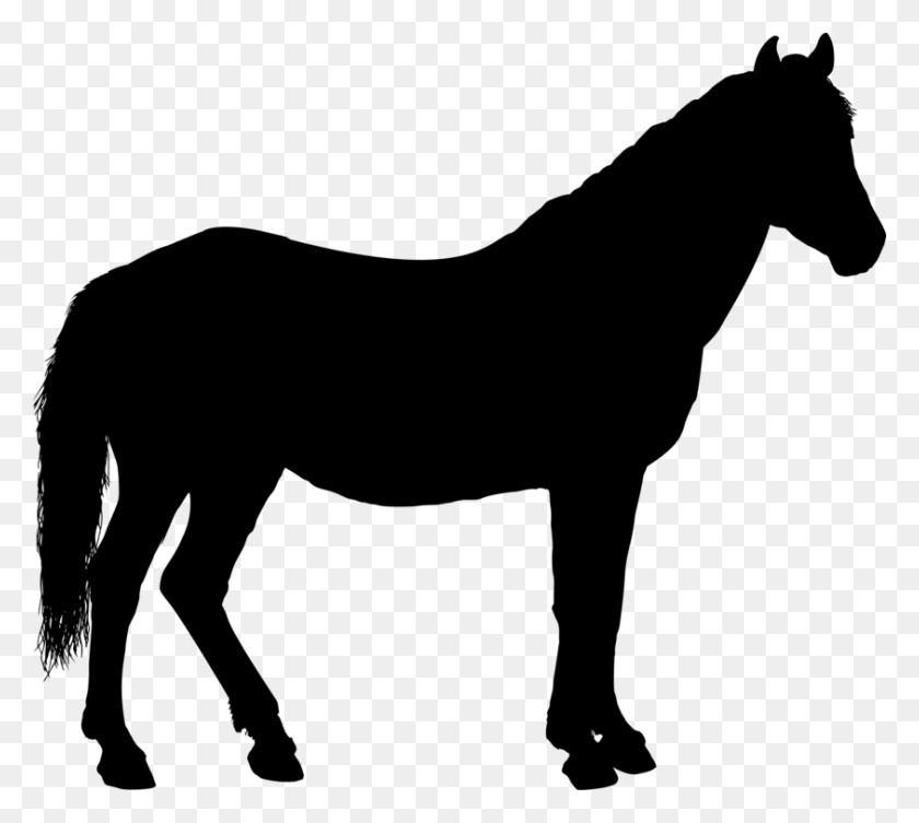 843x750 Конный Наездник Конный Силуэт Пони - Пони Клипарт