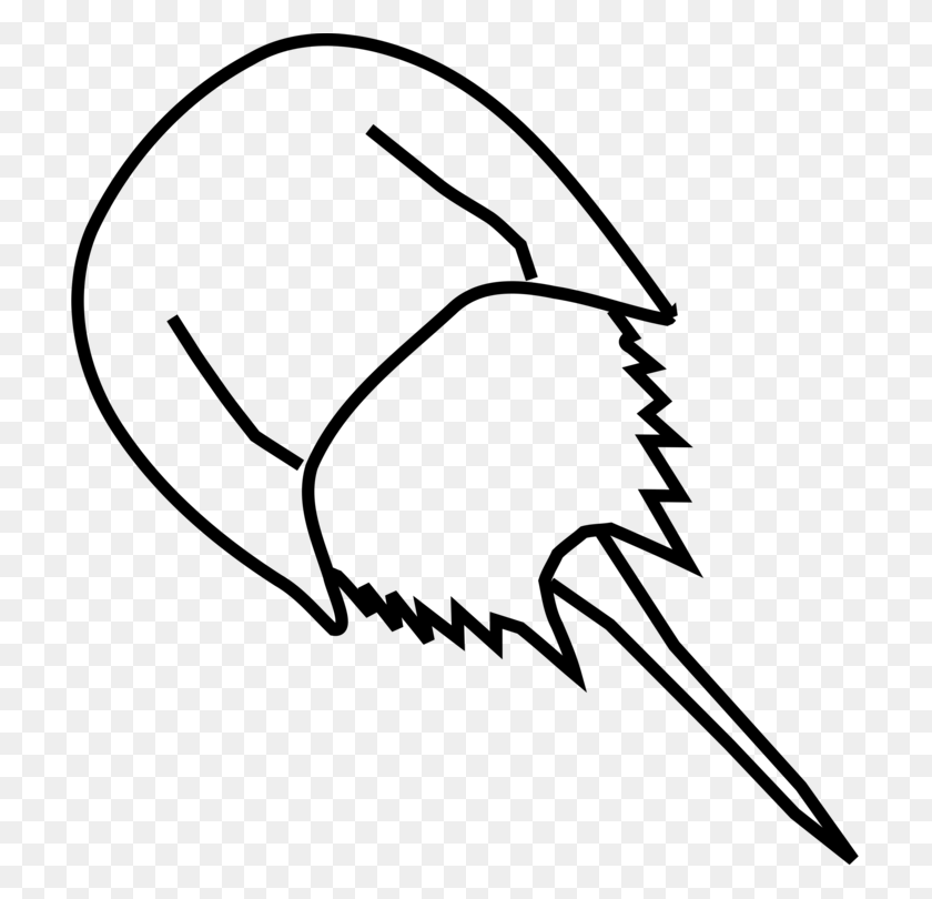 711x750 Horseshoe Crab Drawing - Clipart Horse Shoes