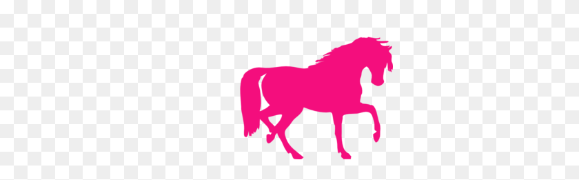 300x201 Ярко-Розовая Лошадь Картинки - Лошади Клипарт Изображения