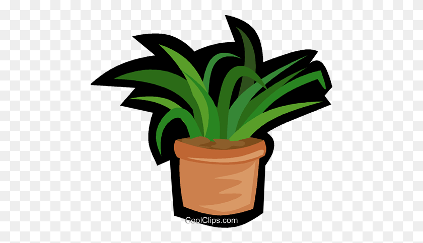 480x423 House Plant, Yucca Plant Royalty Free Vector Clip Art Illustration - House Plant PNG