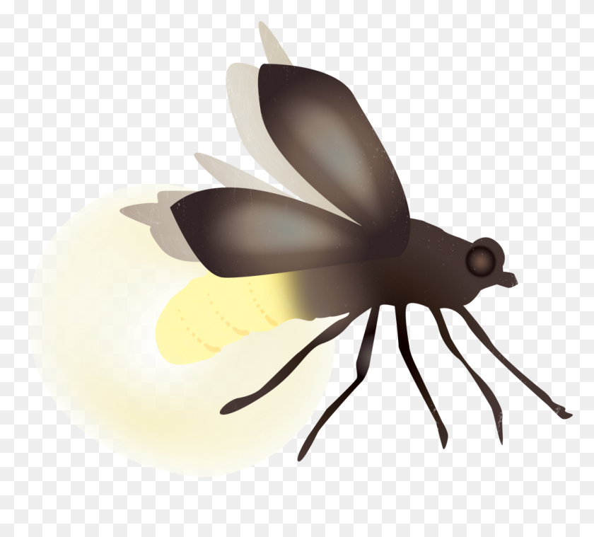 1080x969 How Are Houston's Fireflies Faring Houstonia - Fireflies PNG